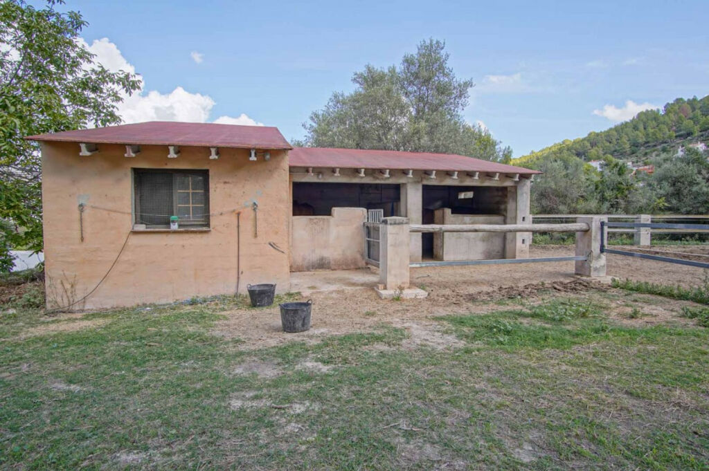 Farm Orba Alicante - image 28