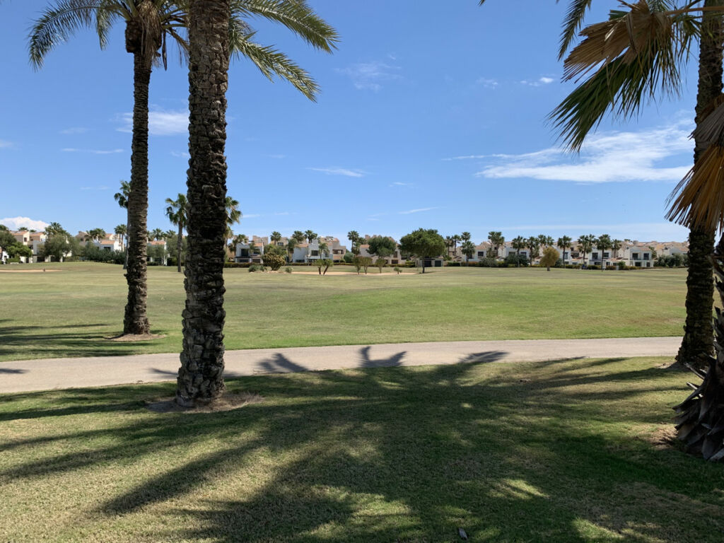Detached Villa Roda Golf Murcia - image 29