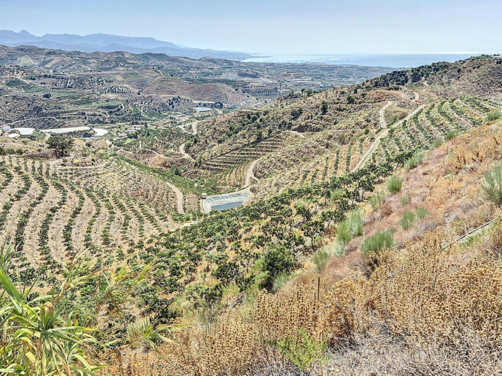 Land Cajiz Málaga - image 29