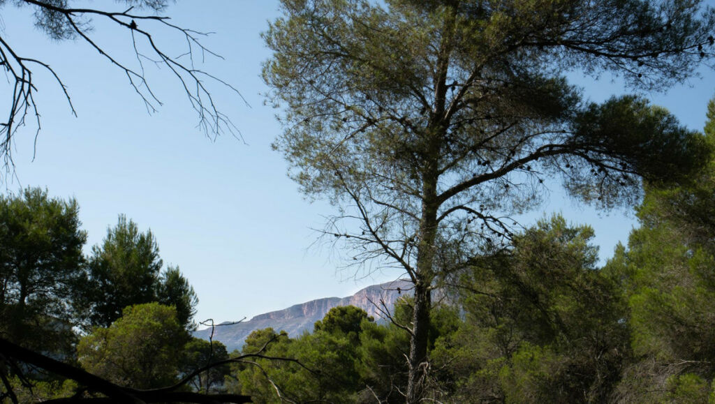 Land Javea Alicante - image 3