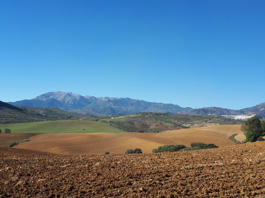 Land Coín Málaga - image 3