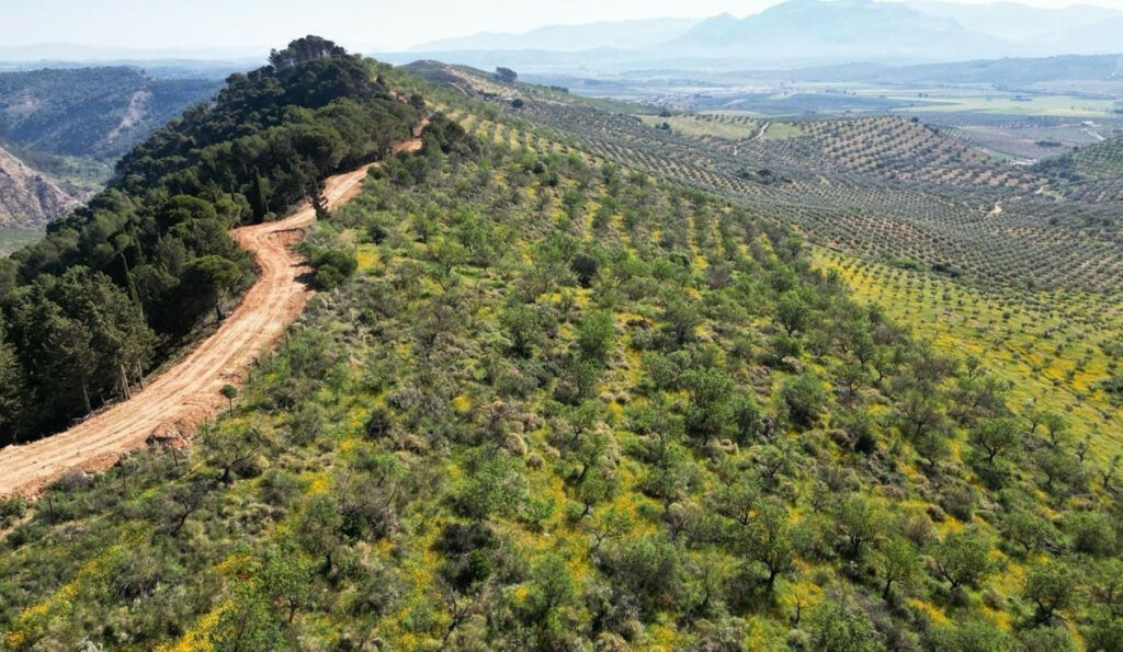 Land Archidona Málaga - image 3