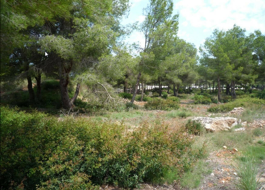 Land Javea Alicante - image 3