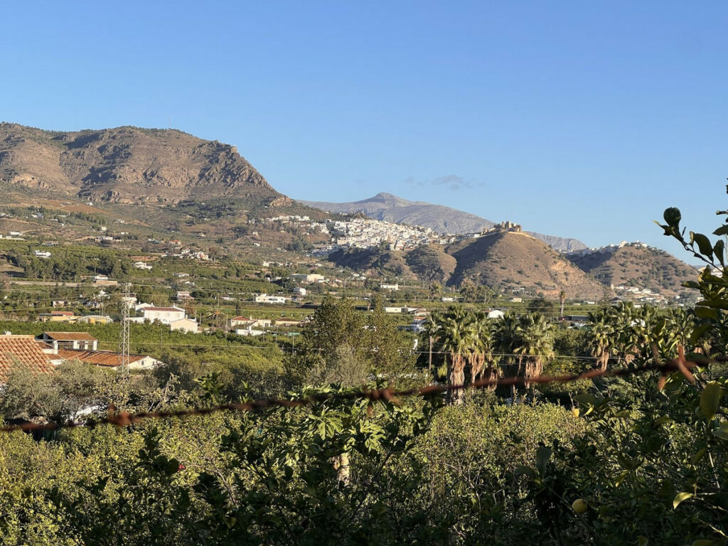 Finca - Cortijo Pizarra Málaga - image 3