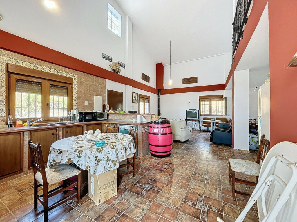 Detached Villa Alcaucín Málaga - image 3