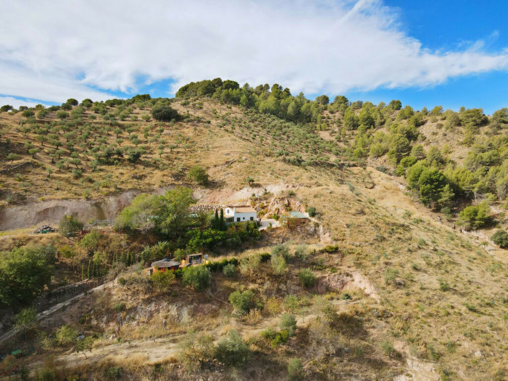 Finca - Cortijo El Burgo Málaga - image 3