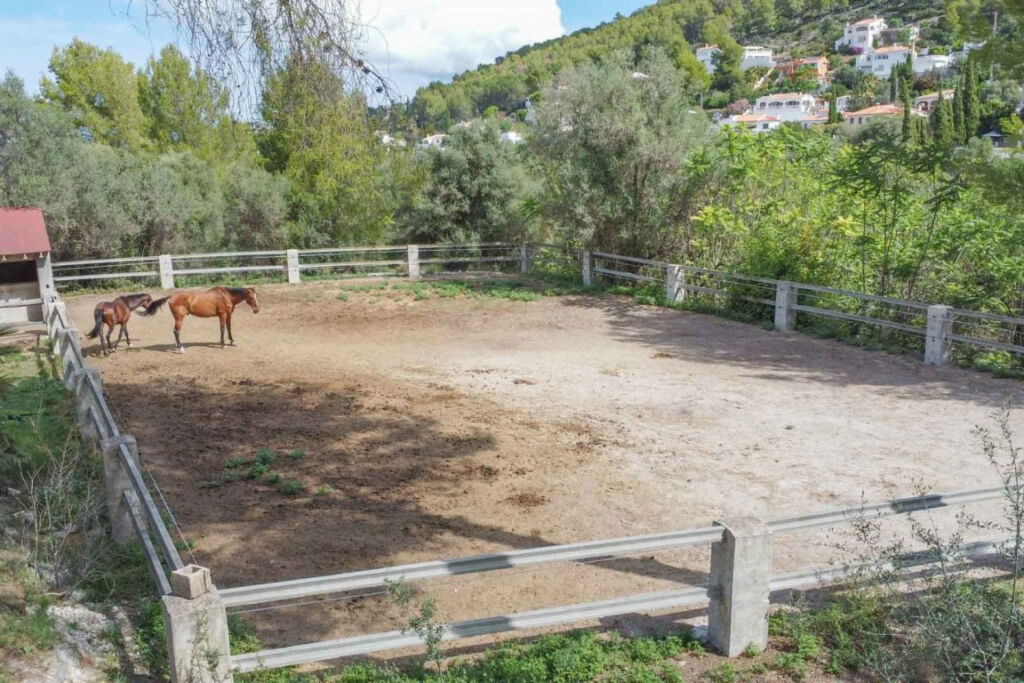Farm Orba Alicante - image 3