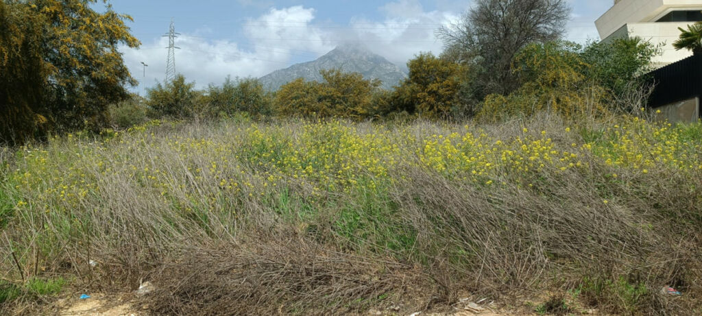 Residential Plot The Golden Mile Málaga - image 3