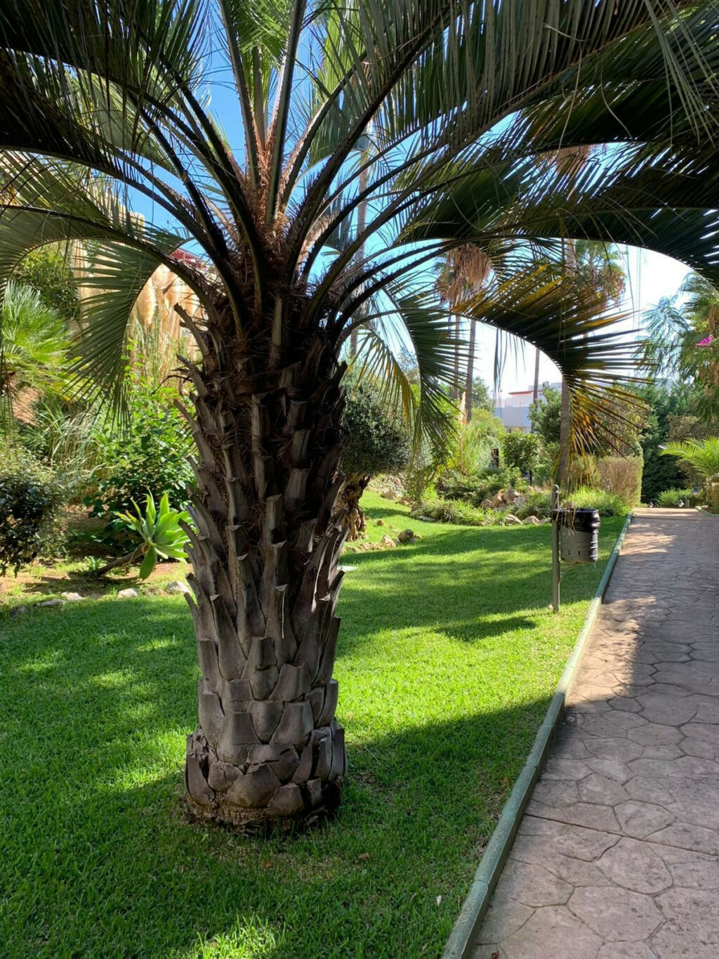Ground Floor Apartment Riviera del Sol Málaga - image 31