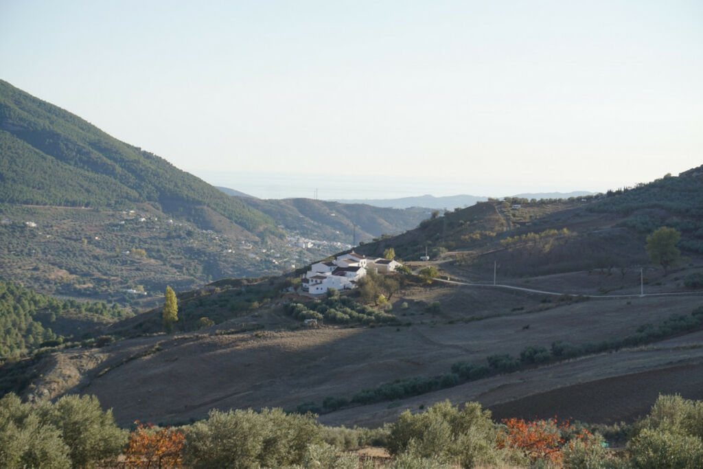 Detached Villa Alcaucín Málaga - image 32