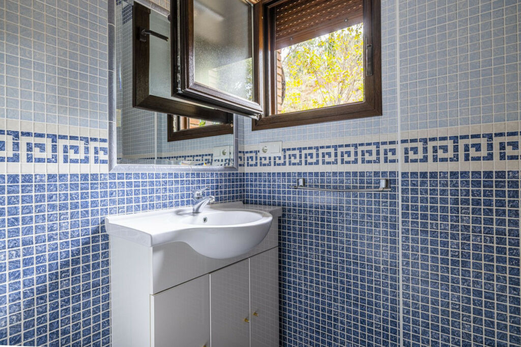 Detached Villa Sayalonga Málaga - image 34