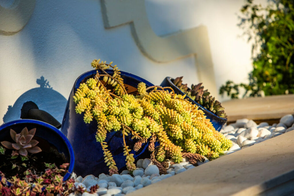 Detached Villa Sotogrande Cádiz - image 34