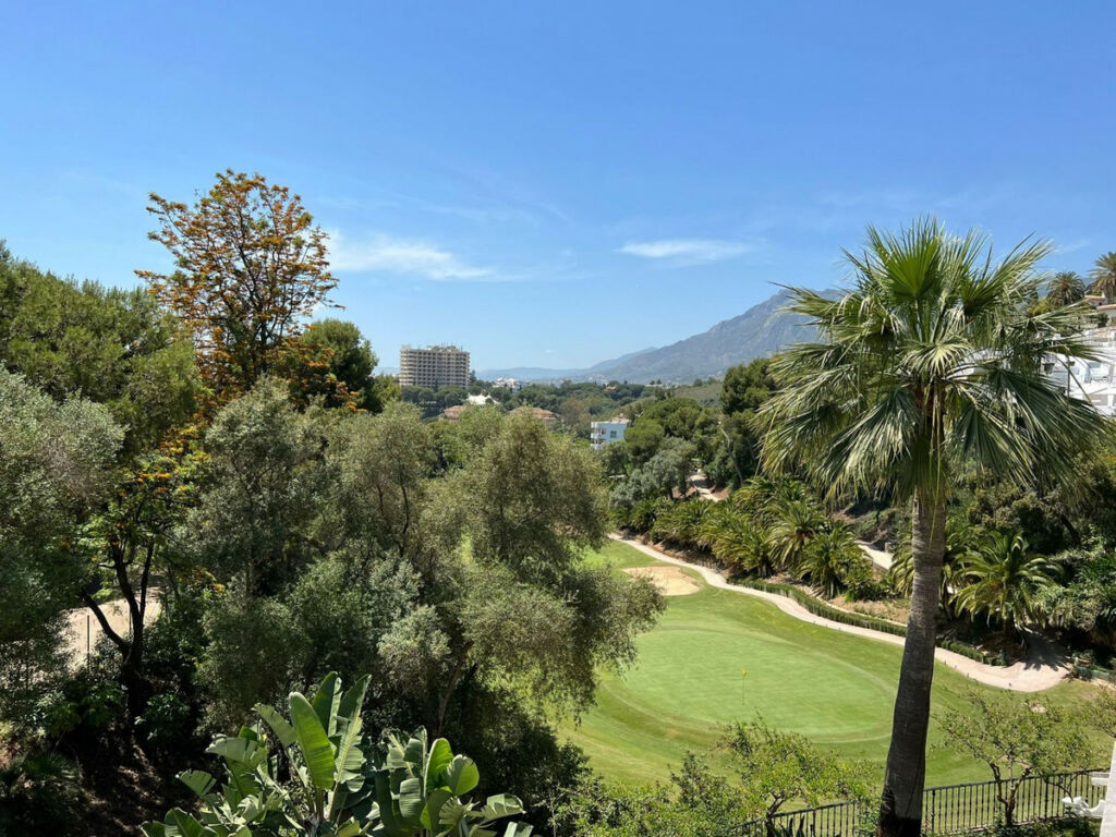 Detached Villa Río Real Málaga - image 36