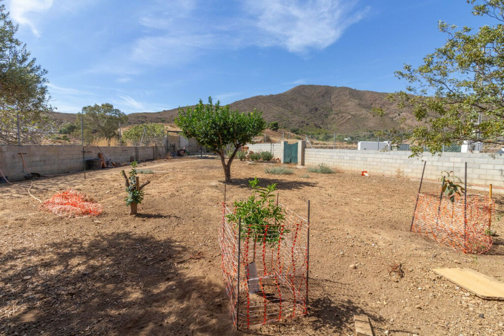 Finca - Cortijo Mijas Costa Málaga - image 36