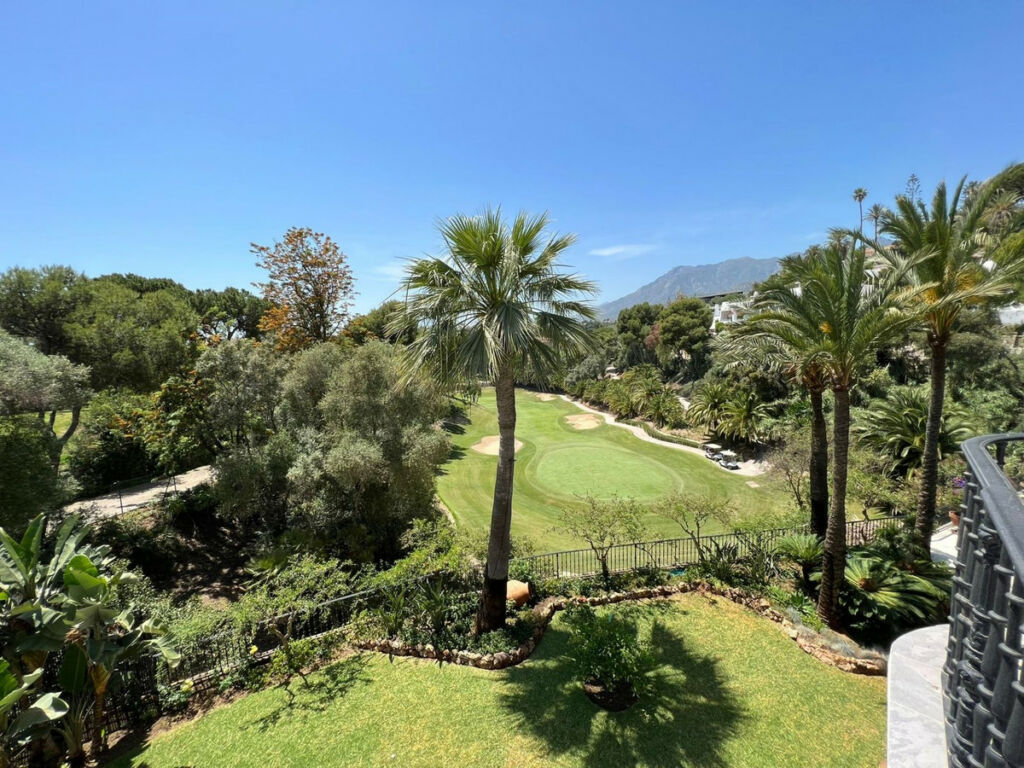 Detached Villa Río Real Málaga - image 37
