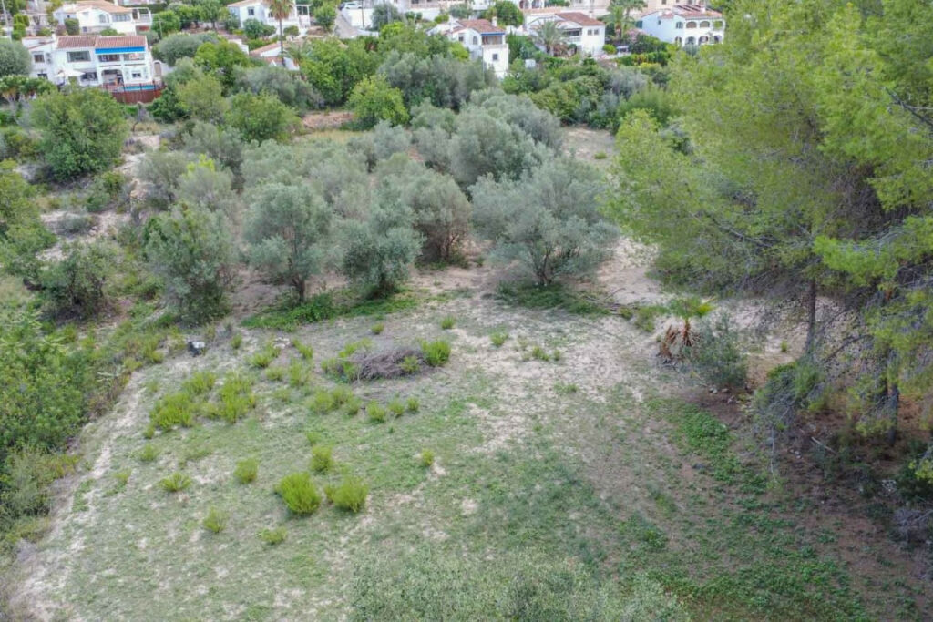 Farm Orba Alicante - image 37