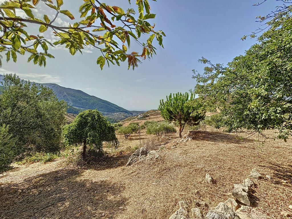 Detached Villa Alcaucín Málaga - image 37