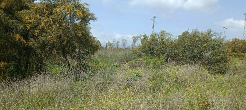 Residential Plot The Golden Mile Málaga - image 4