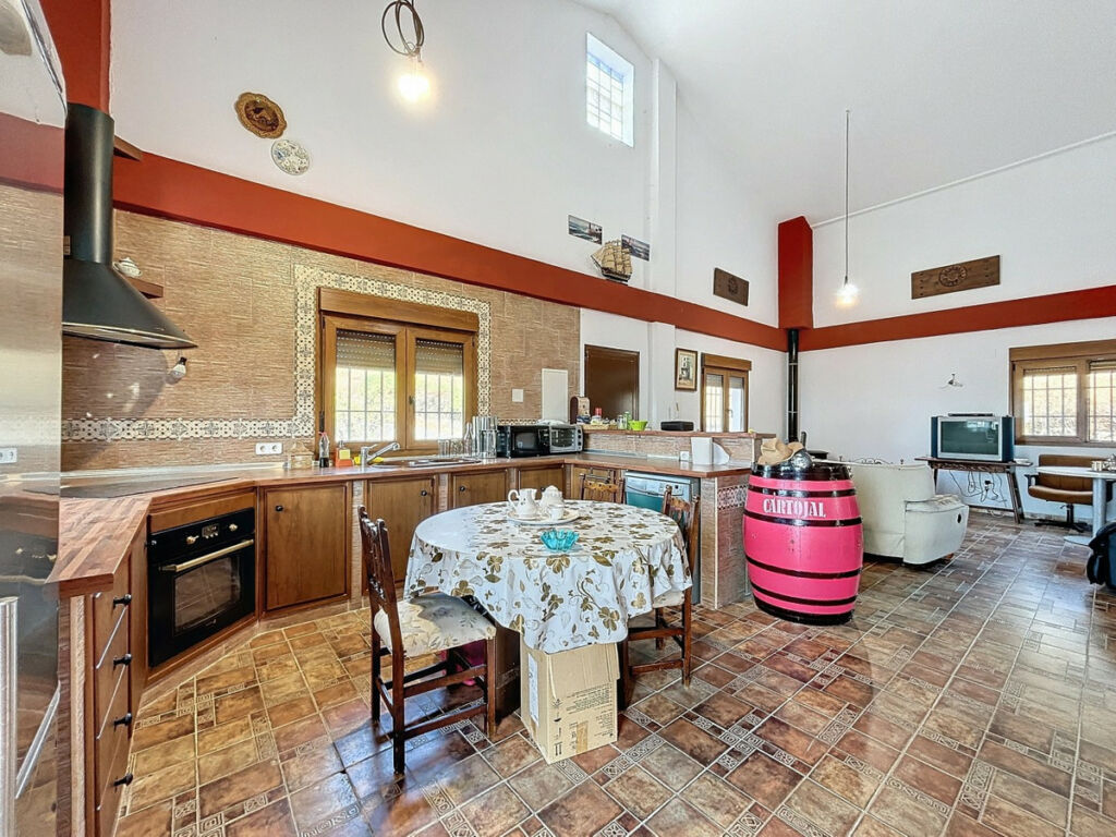 Detached Villa Alcaucín Málaga - image 4
