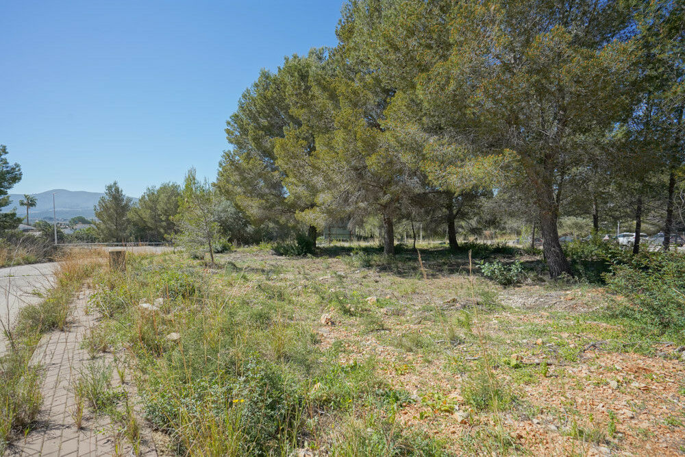 Land Javea Alicante - image 4