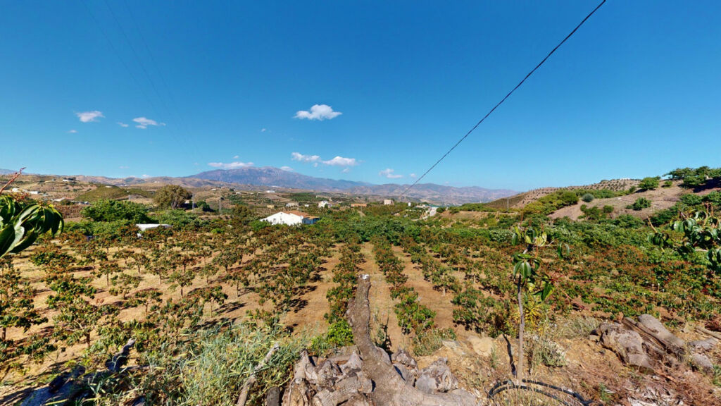 Detached Villa Vélez-Málaga Málaga - image 4