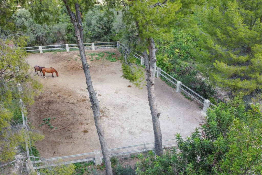 Farm Orba Alicante - image 4