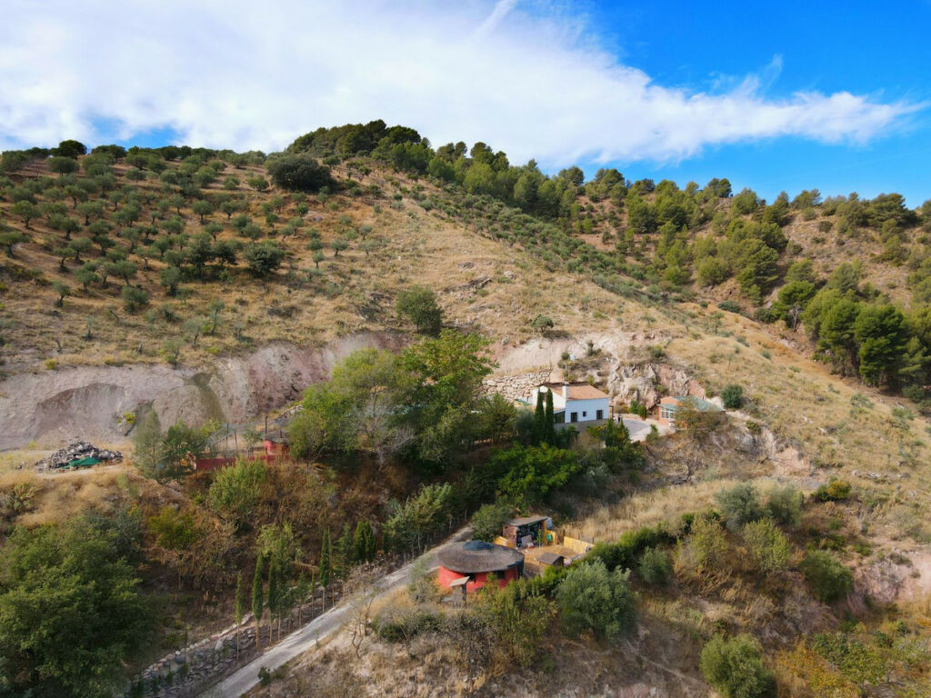 Finca - Cortijo El Burgo Málaga - image 4