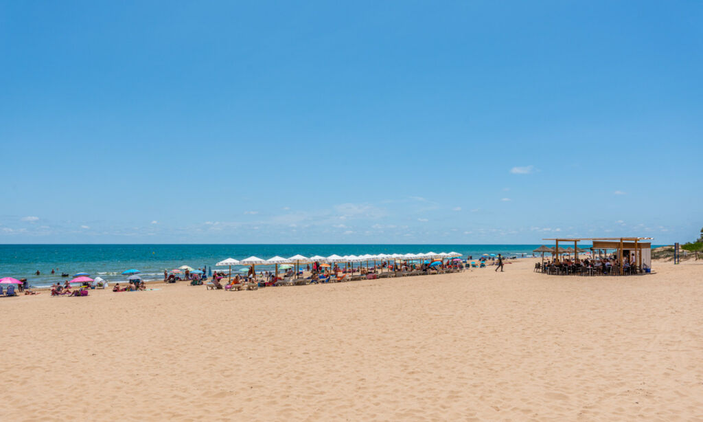 Townhouse Guardamar del Segura Alicante - image 42