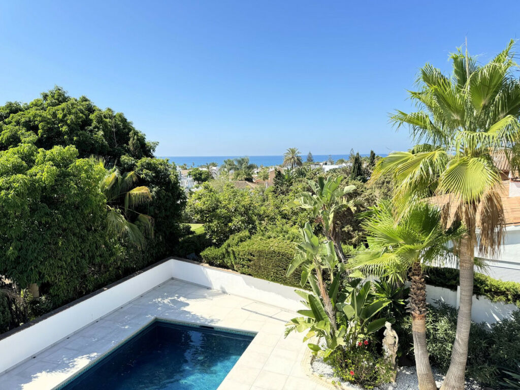 Detached Villa Marbesa Málaga - image 42