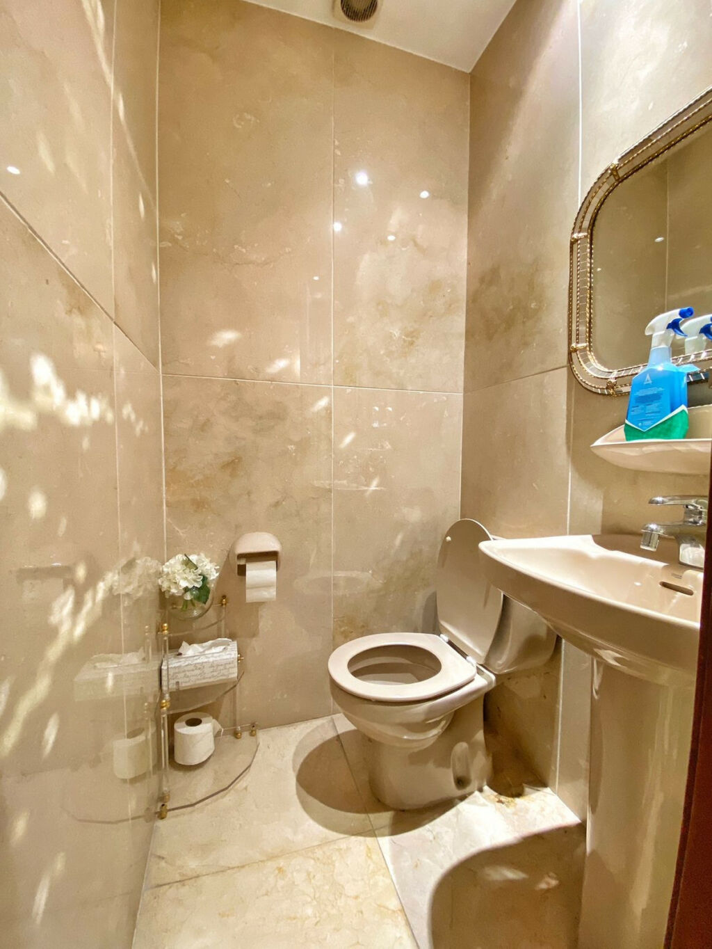Detached Villa Marbella Málaga - image 43