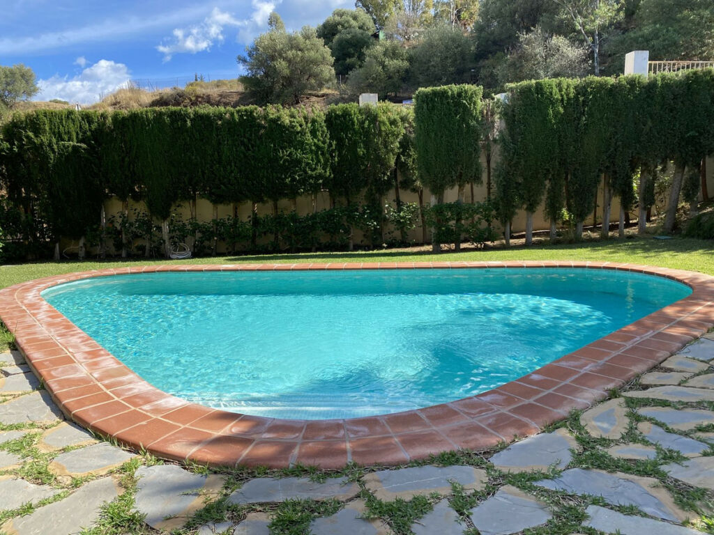 Detached Villa Campo Mijas Málaga - image 43