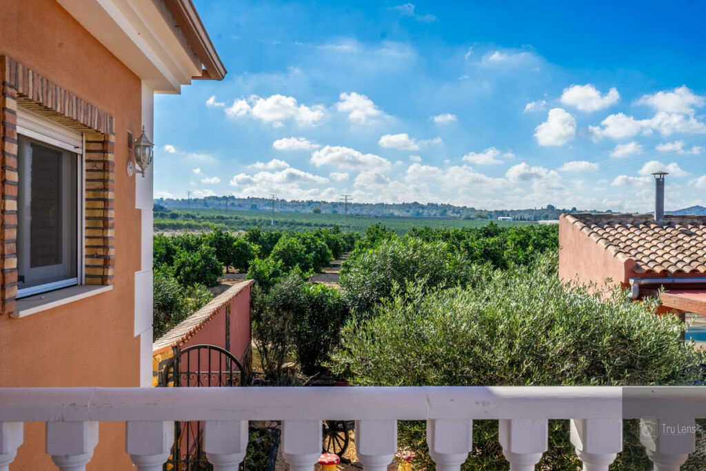 Detached Villa Benejuzar Alicante - image 43