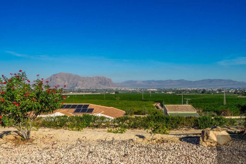 Detached Villa Benejuzar Alicante - image 44
