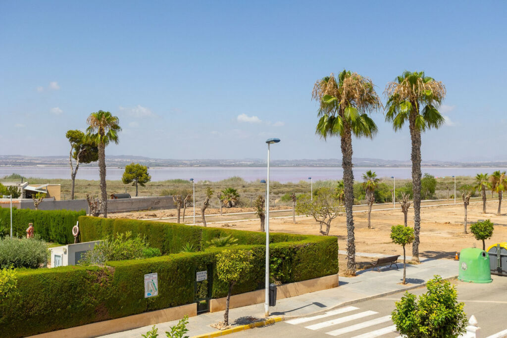 Detached Villa La Siesta Alicante - image 44