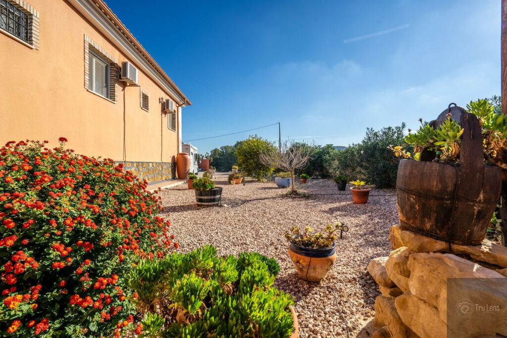 Detached Villa Benejuzar Alicante - image 45