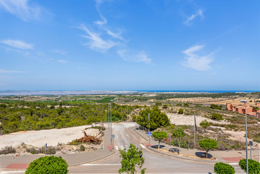 Detached Villa San Miguel de Salinas Alicante - image 46