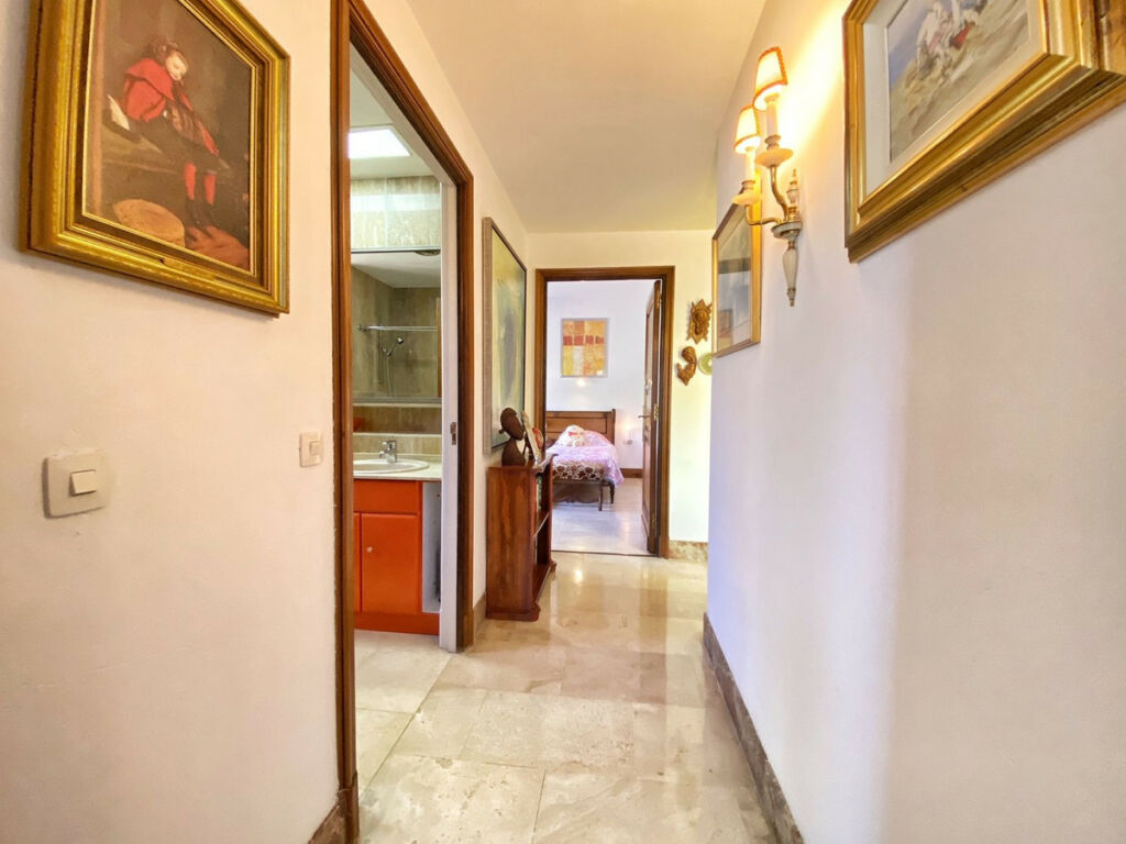 Detached Villa Marbella Málaga - image 46
