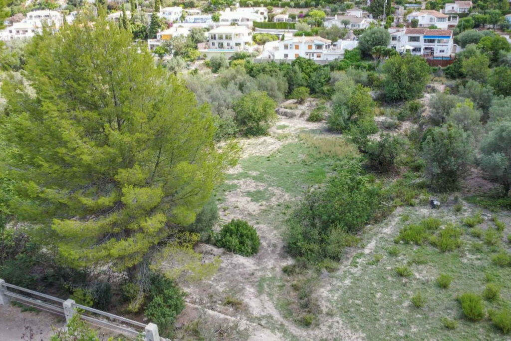 Farm Orba Alicante - image 5