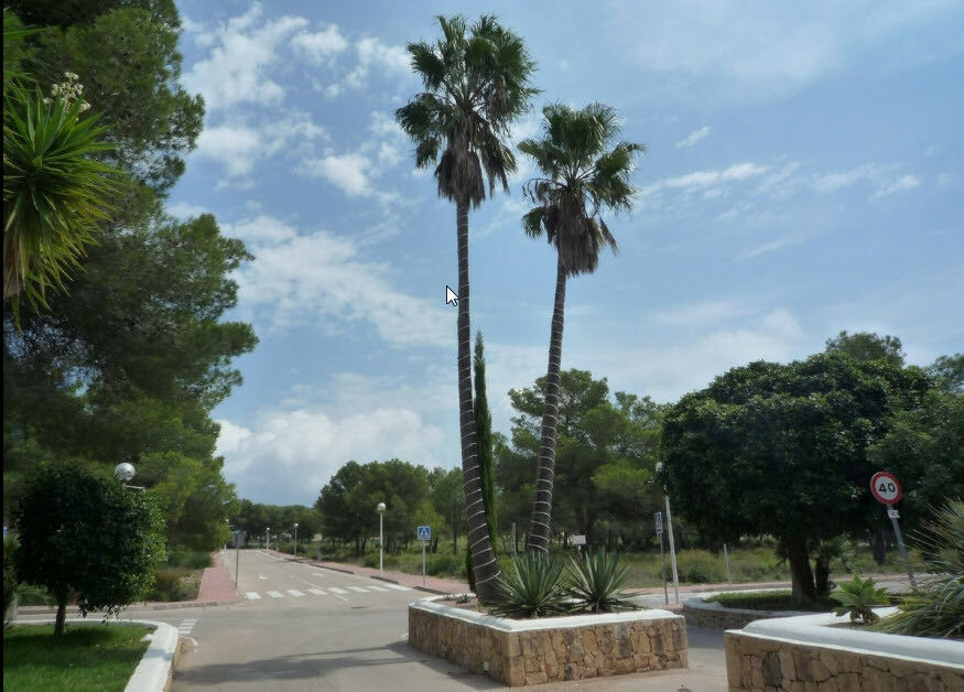 Land Javea Alicante - image 5