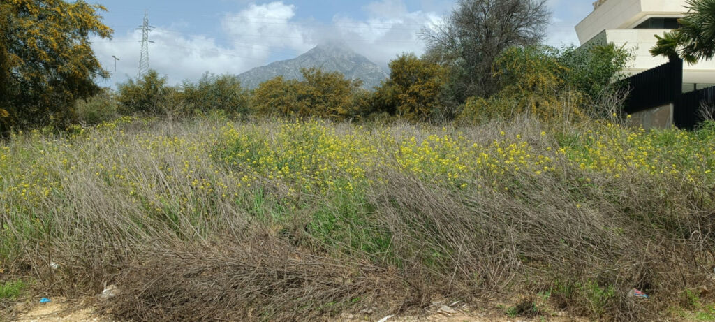 Residential Plot The Golden Mile Málaga - image 5