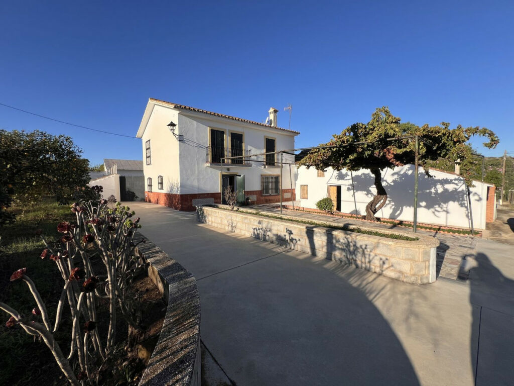 Finca - Cortijo Pizarra Málaga - image 5
