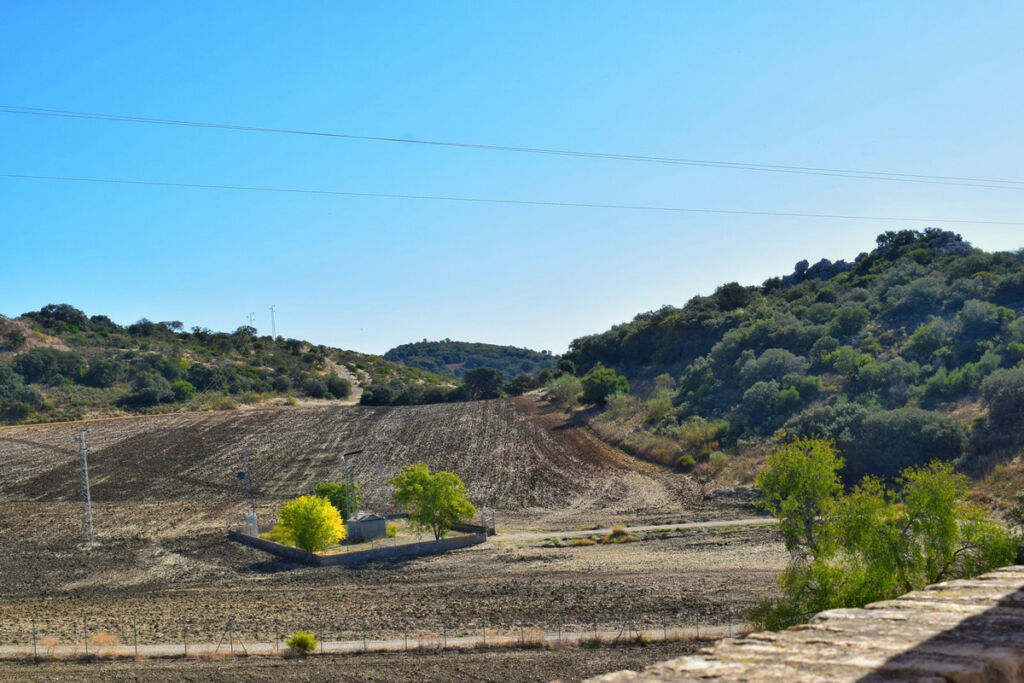 Finca - Cortijo Ronda Málaga - image 51