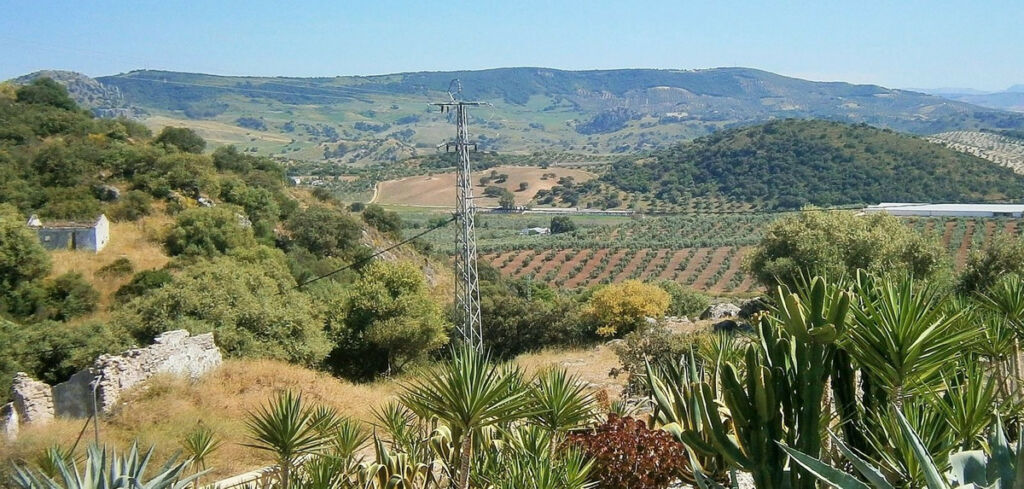 Finca - Cortijo Ronda Málaga - image 52