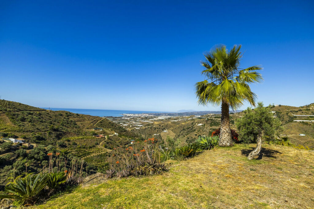 Detached Villa Sayalonga Málaga - image 53