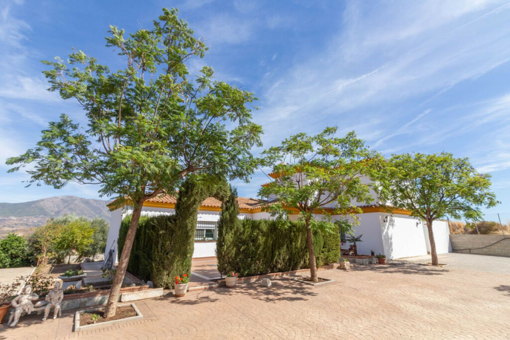 Finca - Cortijo Mijas Costa Málaga - image 6