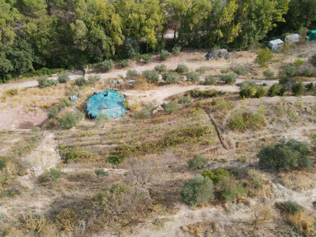 Finca - Cortijo El Burgo Málaga - image 5