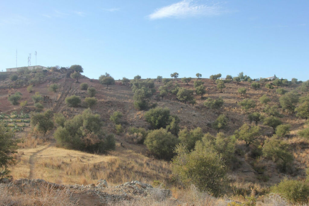 Land Coín Málaga - image 6