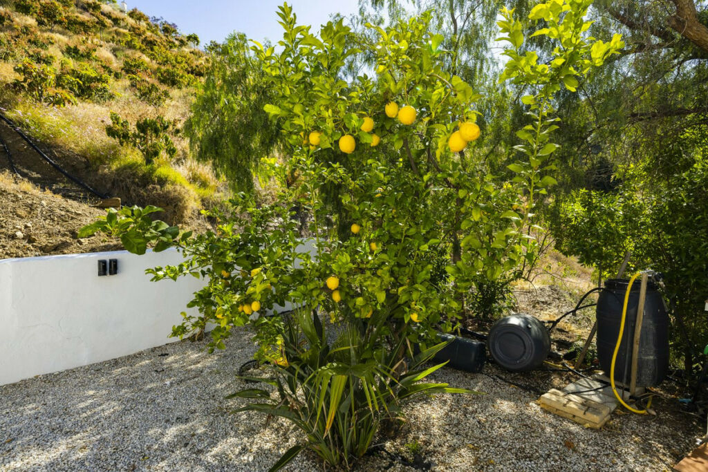 Detached Villa Sayalonga Málaga - image 61
