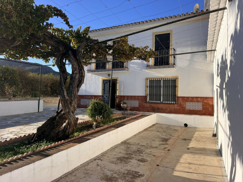 Finca - Cortijo Pizarra Málaga - image 7