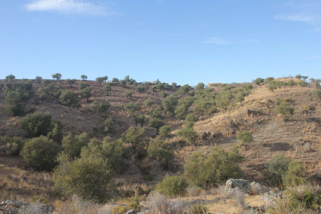 Land Coín Málaga - image 7